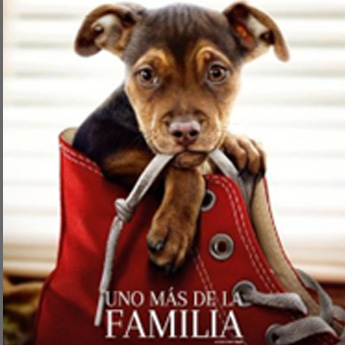 A Dog's Way Home