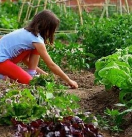 Garden Day Workshop