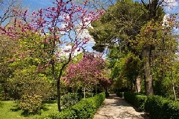 Senda guiada 'La primavera en el Retiro'
