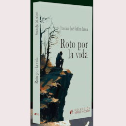 'Roto por la vida', de Francisco José Guillem Lanuza.