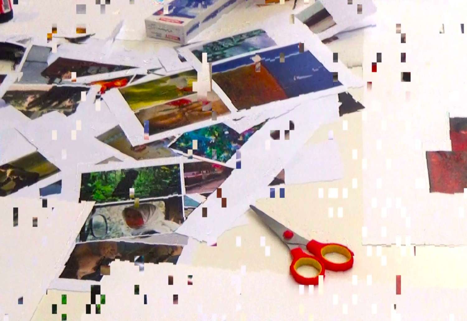 Hands in the Image: From Collage to Camera
