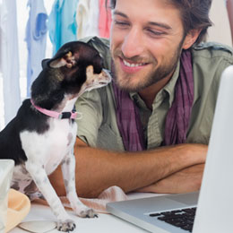 Jornada de adopción de animales