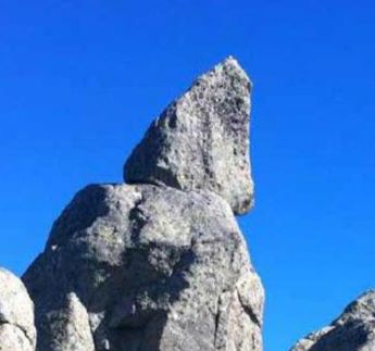 Salida Medioambiental