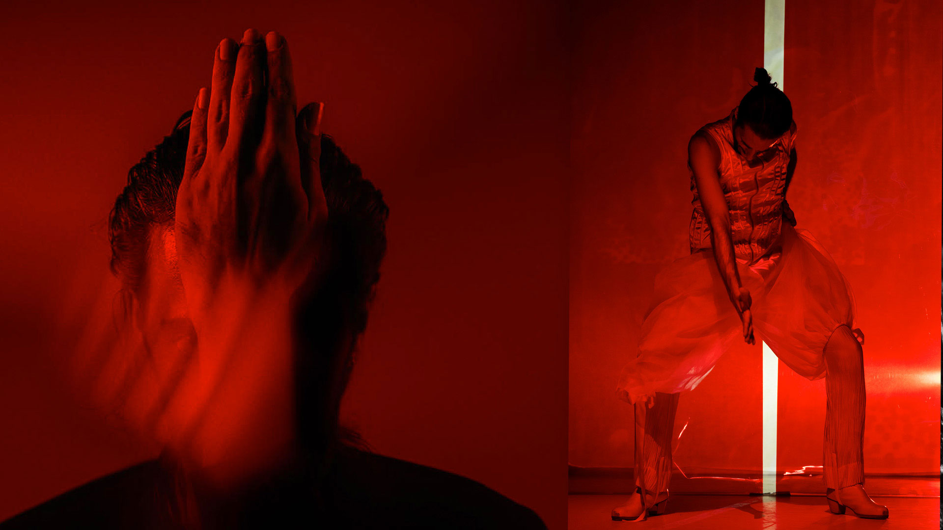 Siudy Flamenco: Captura y Fuga by José Manuel Álvarez