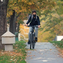World Bicycle Day: cycling in the city