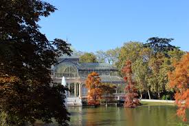 Trees of El Retiro