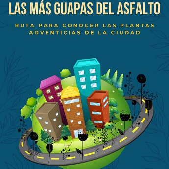 Las más guapas del asfalto. Conoce la flora espontánea de Madrid