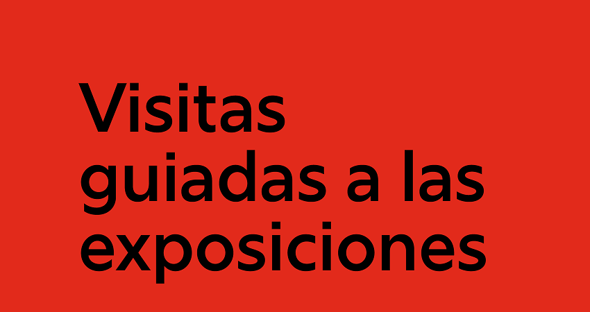 Visitas guiadas a las exposiciones