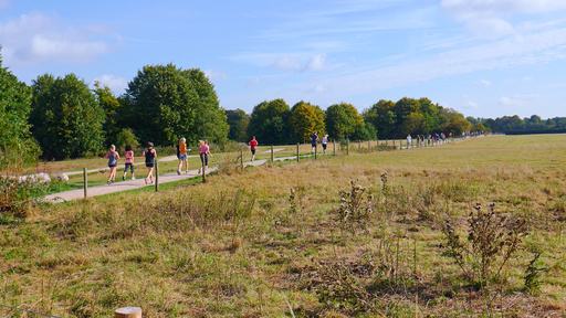 Tempelhofer Feld parkrun (free 5k run)