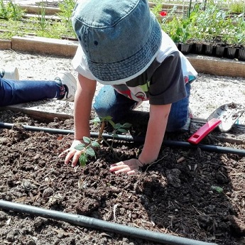 Family Kitchen Garden Workshop