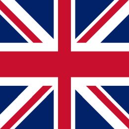 Taller online 'Remedial English'