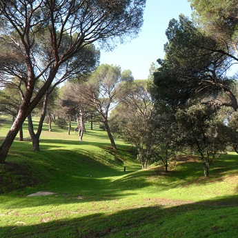 Hiking the Holm Oak Reserve at San Pedro