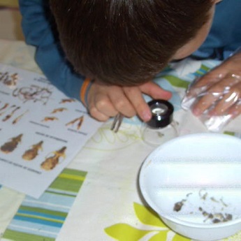 Tracks and Traces Workshop